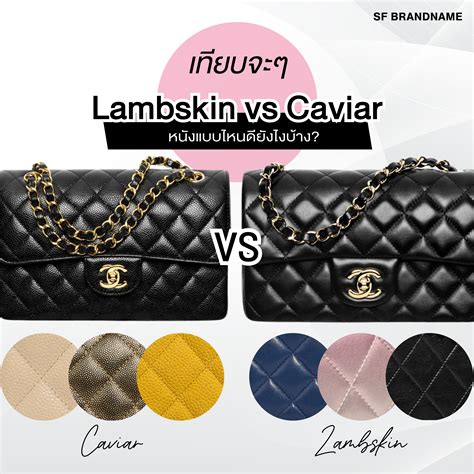 caviar vs lambskin chanel.